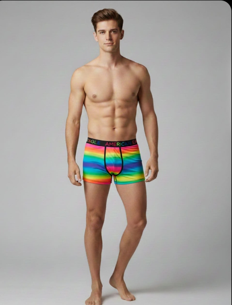 AEO FLEX BOXER L/G HOMBRE COLORES