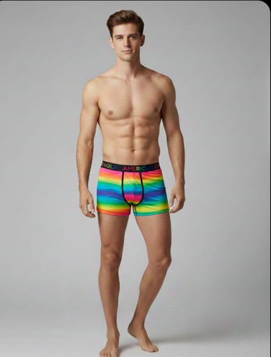 [400265428944] AEO FLEX BOXER L/G HOMBRE COLORES
