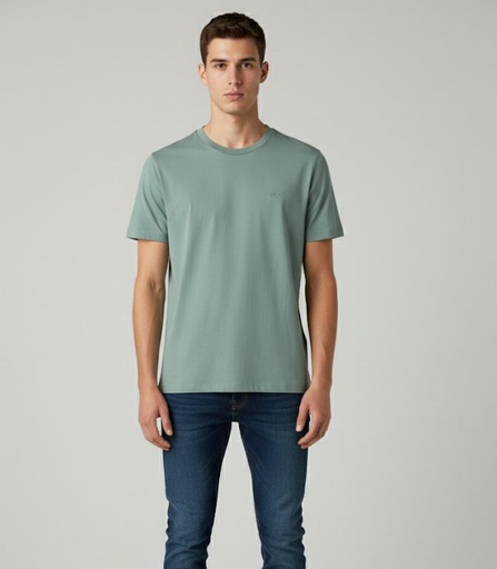 HOLLISTER CAMISETA MENTA HOMBRE VB85391507M