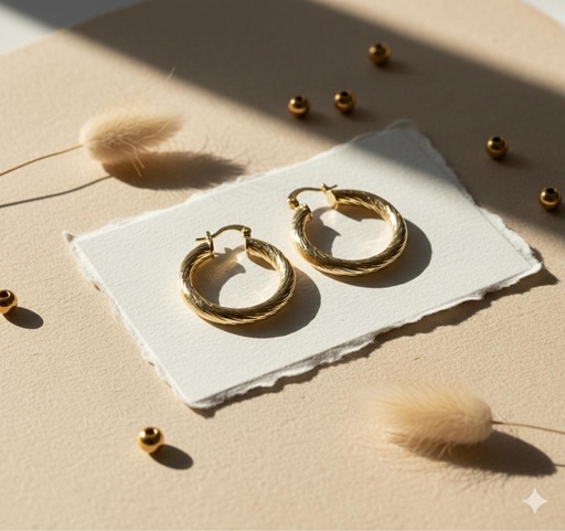 [AE030] ARETES ARGOLLA ENCHAPE 250